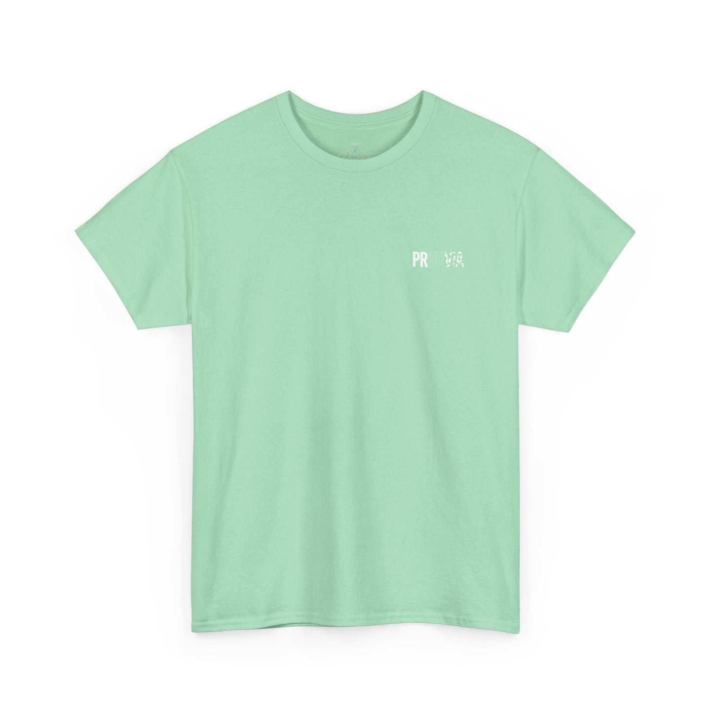 Prurvia Tee